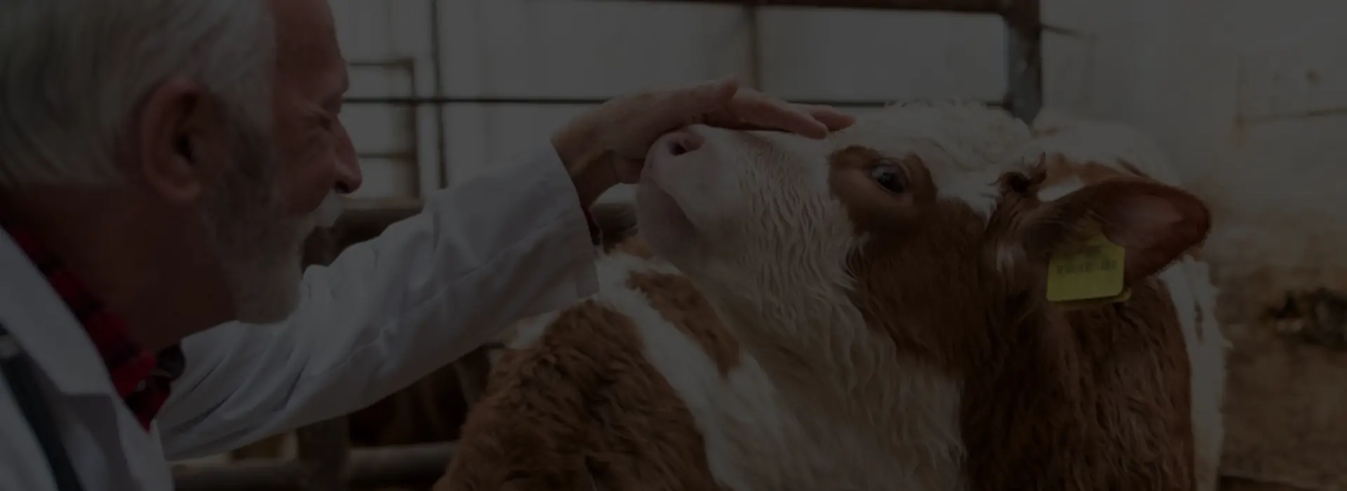 sufi veterinary tools banner