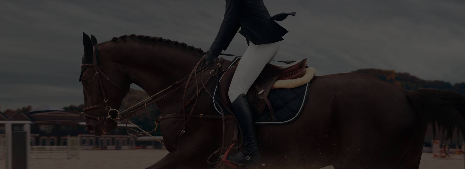 sufivet horse riding banner